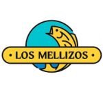 los-mellizos